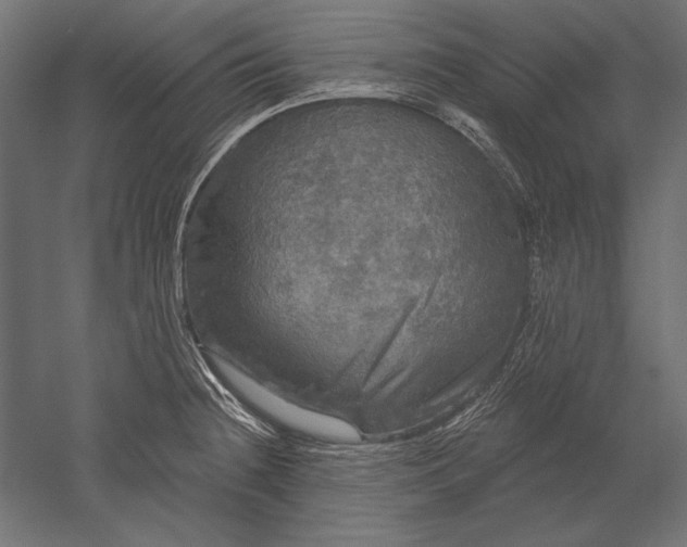 X0000051261236200507011710