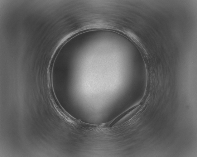 X0000051261238200507011710