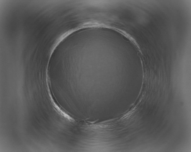 X0000051261239200507011710