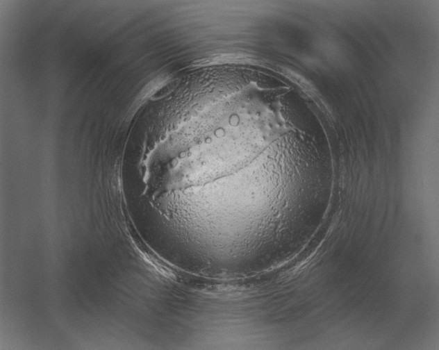 X0000051261241200507011710