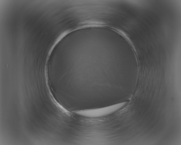 X0000051261243200507011710