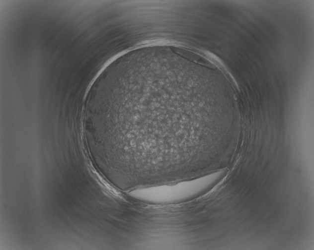 X0000051261244200507011710