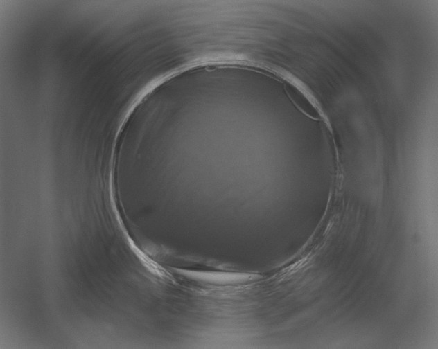 X0000051261245200507011710