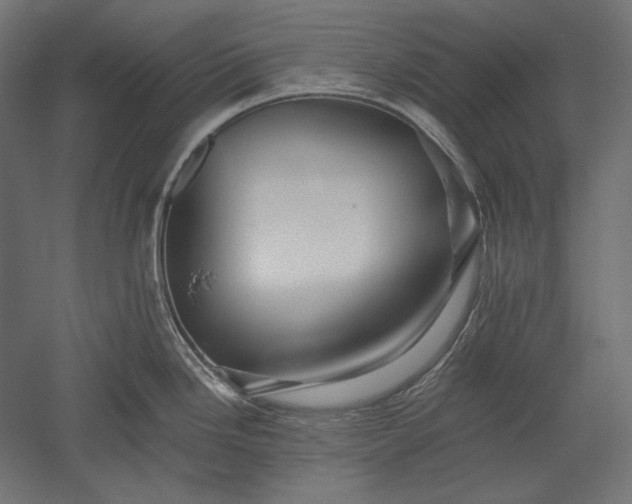 X0000051261246200507011710