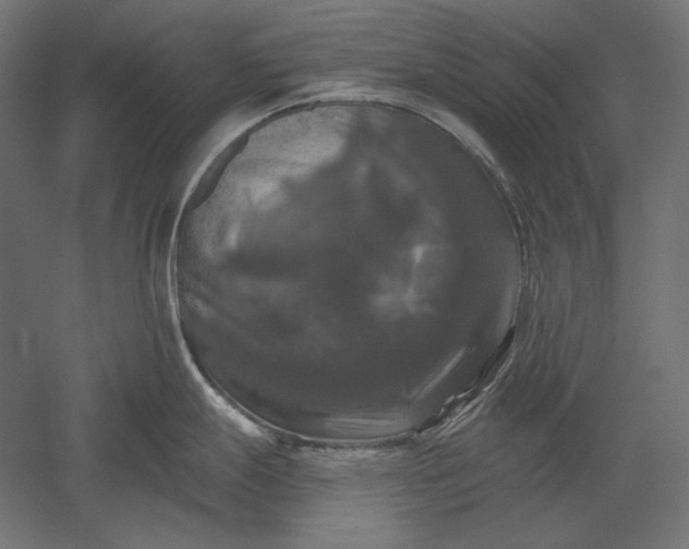 X0000051261247200507011710