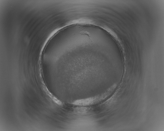 X0000051261248200507011710