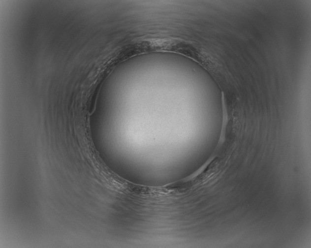 X0000051261249200507011709