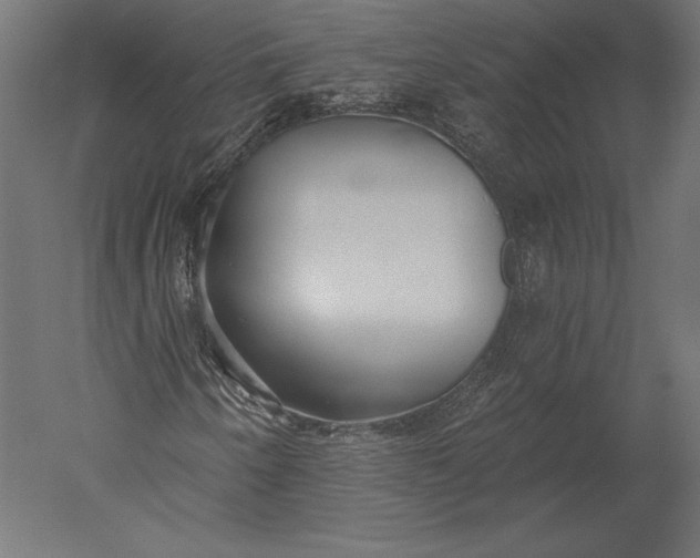X0000051261250200507011709