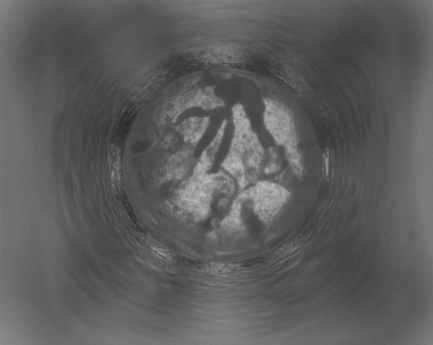 X0000051261251200507011709