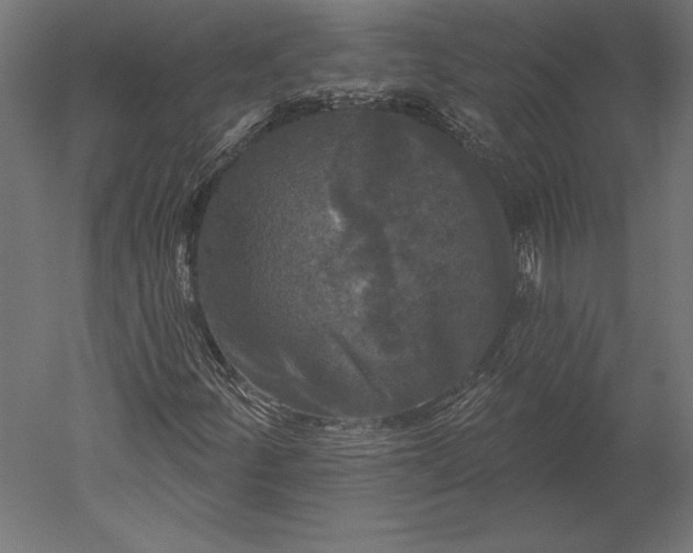 X0000051261252200507011709