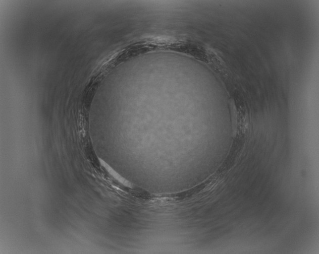 X0000051261253200507011709