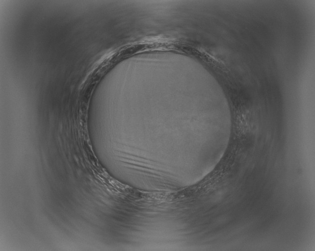 X0000051261254200507011709