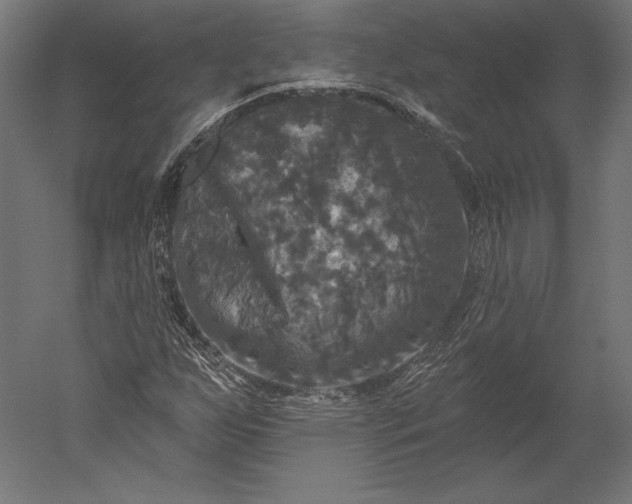 X0000051261255200507011709