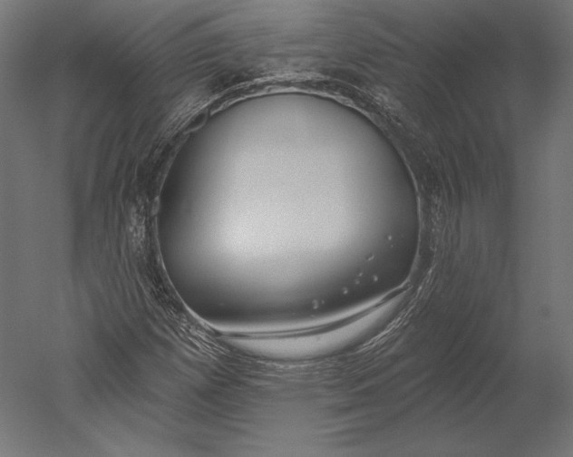 X0000051261257200507011709