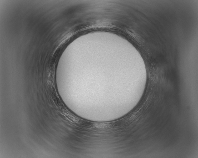 X0000051261258200507011709