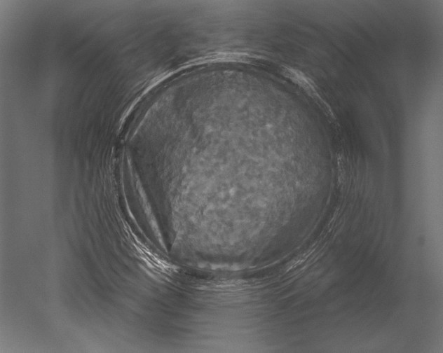 X0000051261260200507011709