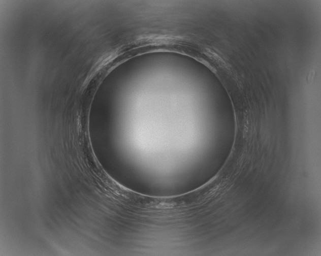 X0000051261261200507011709