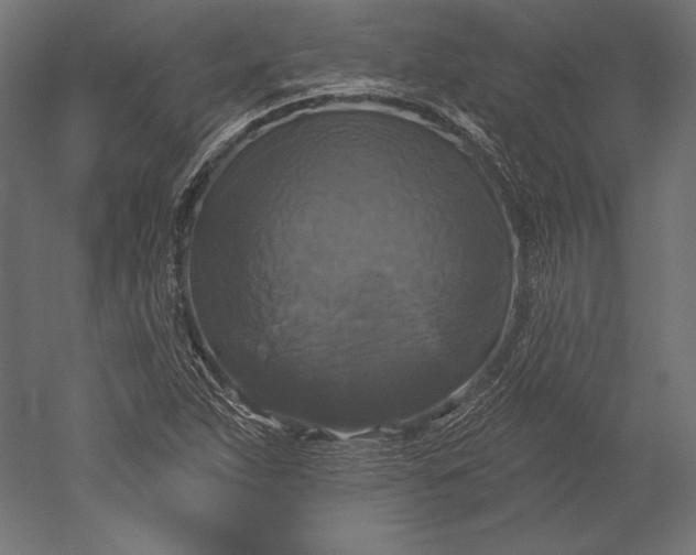 X0000051261263200507011709