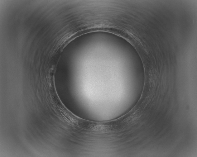 X0000051261265200507011709