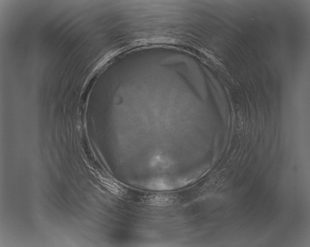 X0000051261266200507011709