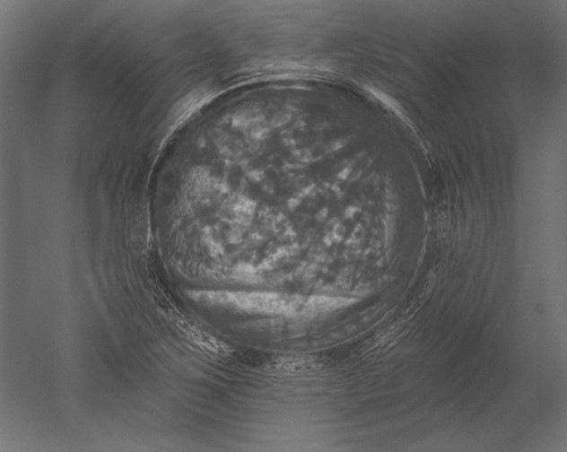 X0000051261267200507011709