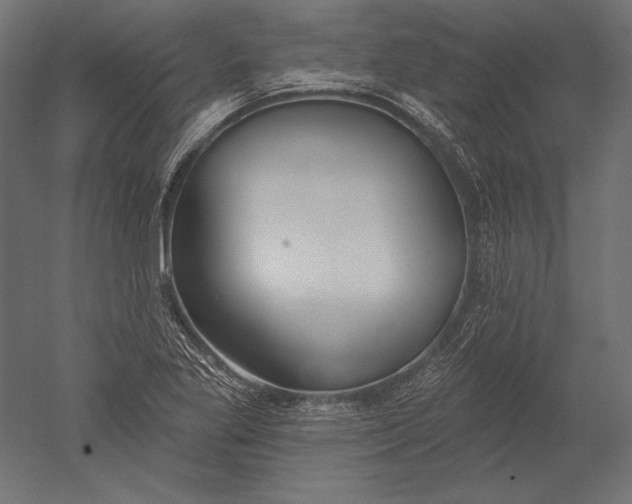 X0000051261269200507011709
