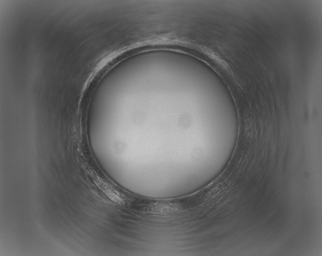 X0000051261270200507011709