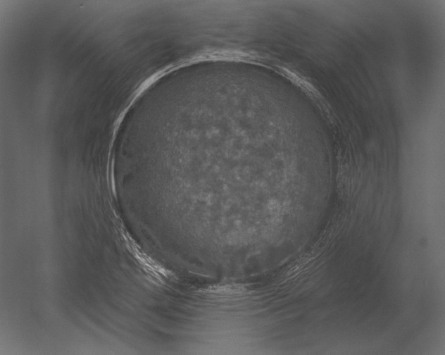 X0000051261272200507011709