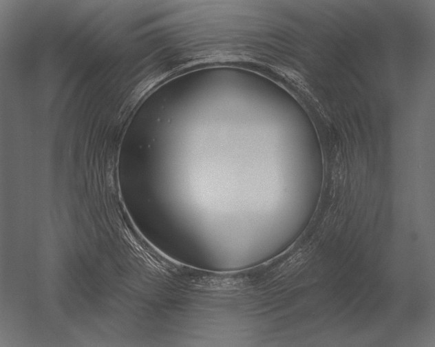 X0000051261273200507011709