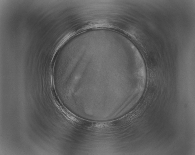 X0000051261274200507011709