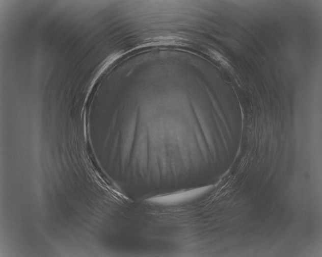 X0000051261275200507011709