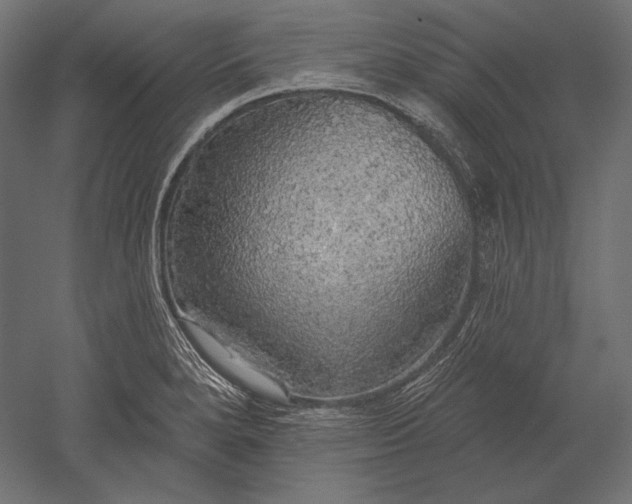 X0000051261280200507011709