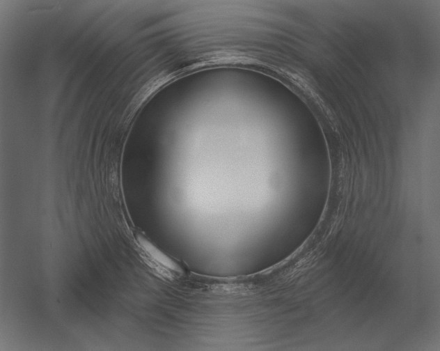 X0000051261281200507011709