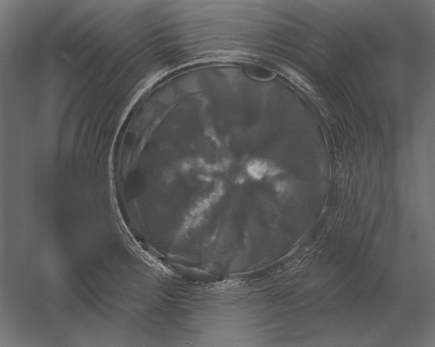 X0000051261283200507011709
