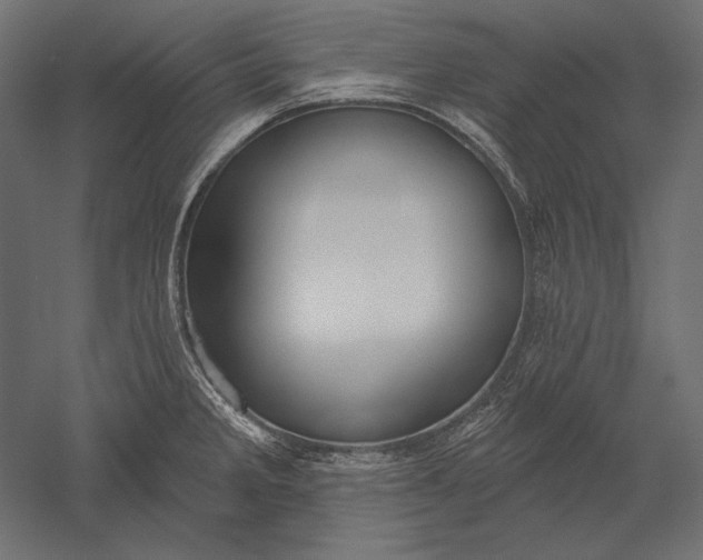 X0000051261285200507011709