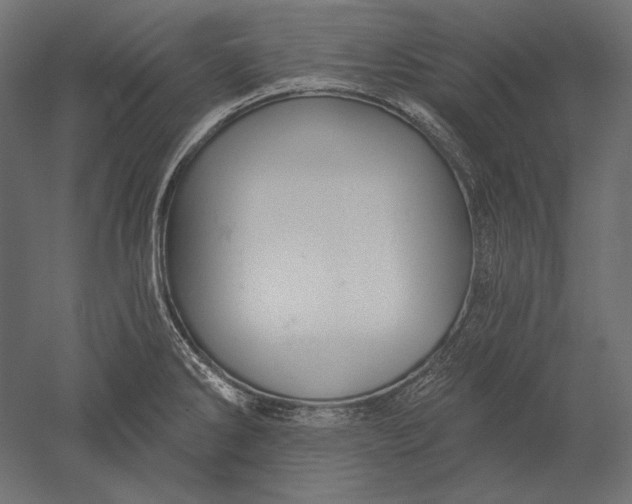 X0000051261286200507011709