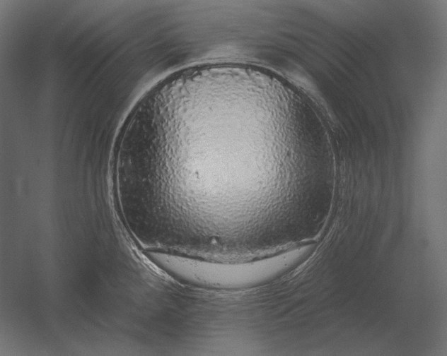 X0000051261288200507011709