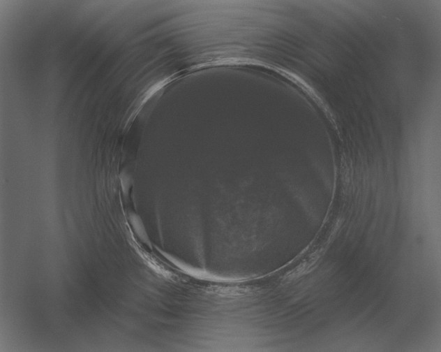 X0000051261289200507011709