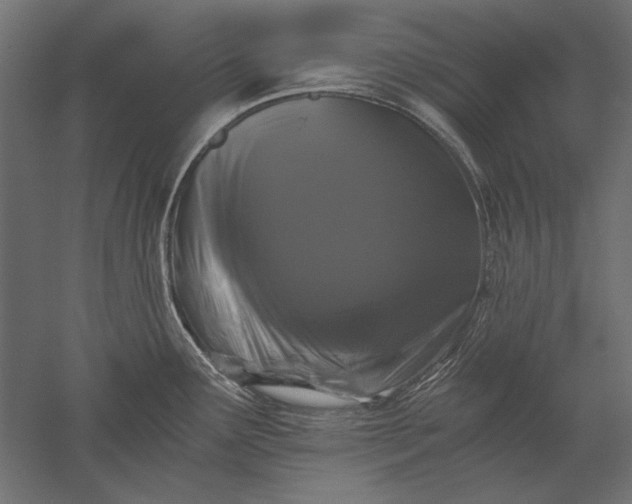 X0000051261291200507011709