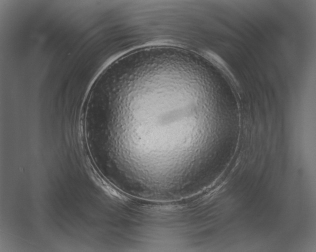 X0000051261292200507011709