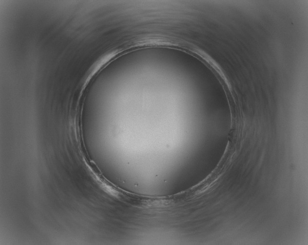 X0000051261293200507011709