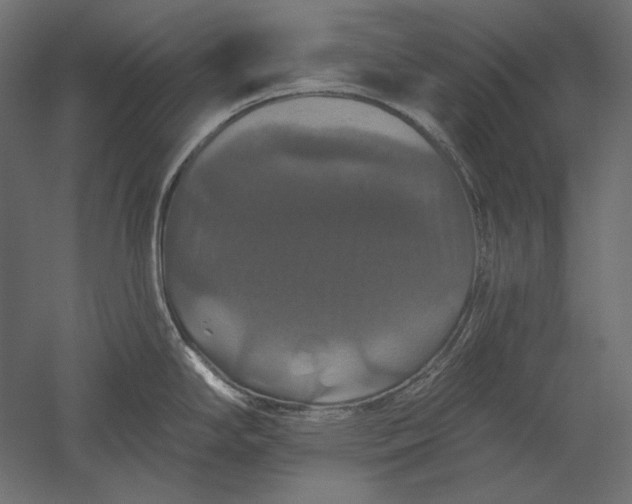 X0000051261294200507011709