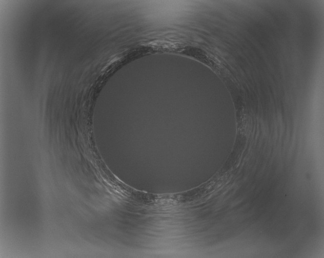 X0000051261297200507011708