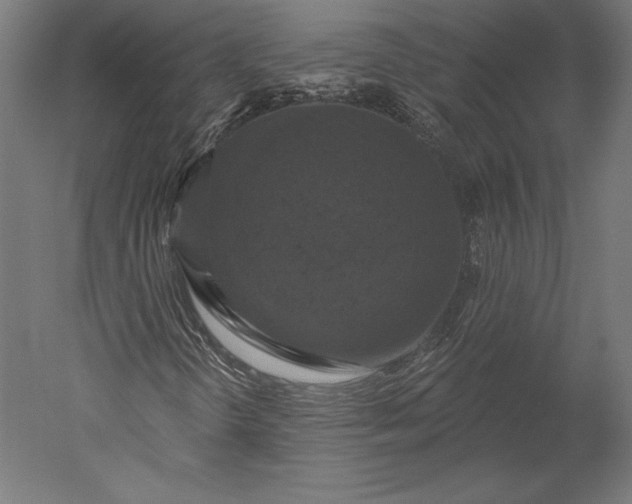 X0000051261298200507011708