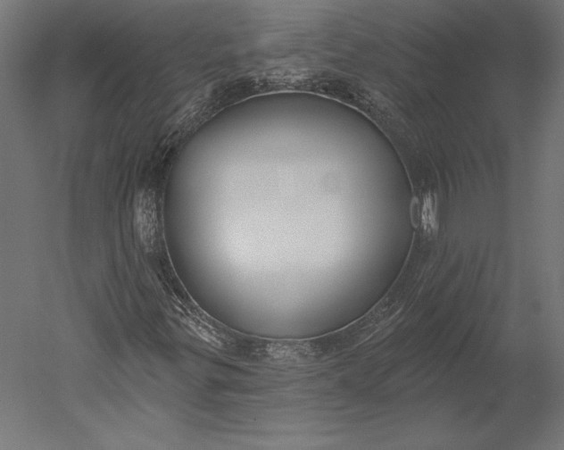 X0000051261299200507011708
