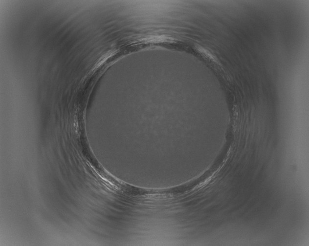 X0000051261305200507011708