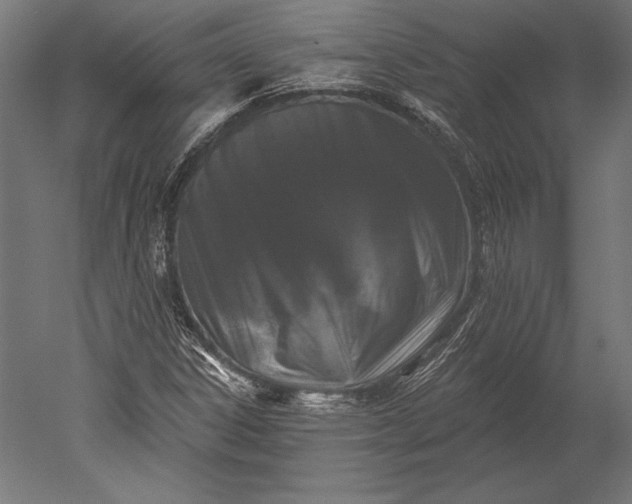 X0000051261306200507011708