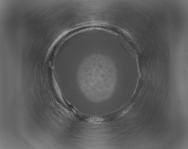 X0000051261310200507011708