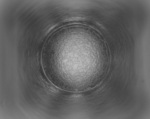 X0000051261313200507011708