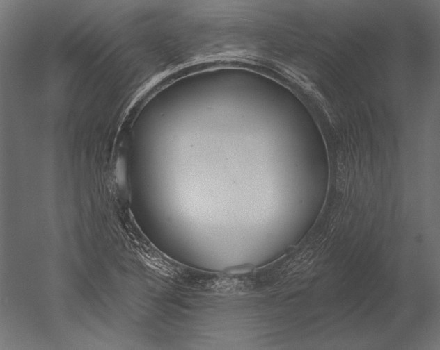 X0000051261316200507011708